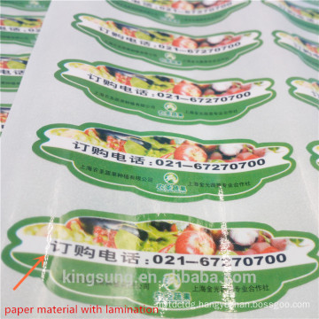 custom printing and shape food industry label, different material and printing method available